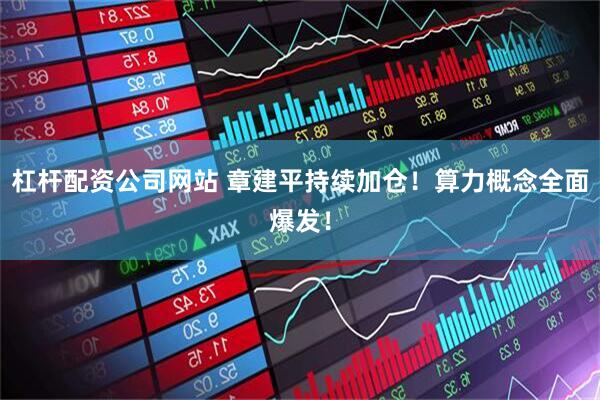 杠杆配资公司网站 章建平持续加仓！算力概念全面爆发！